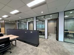 Mapletree Anson (D2), Office #504164841